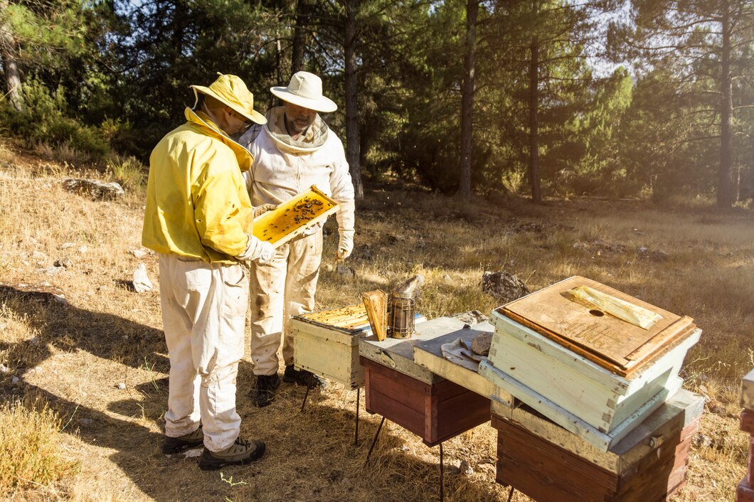 Jak ubrania tematyczne mogą pomóc w promocji pszczelarstwa?